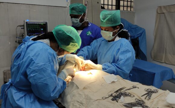 operation teater for pets