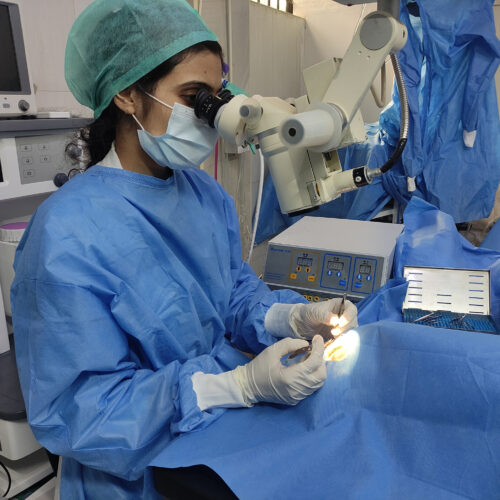 ophthalmic surgeries for pets